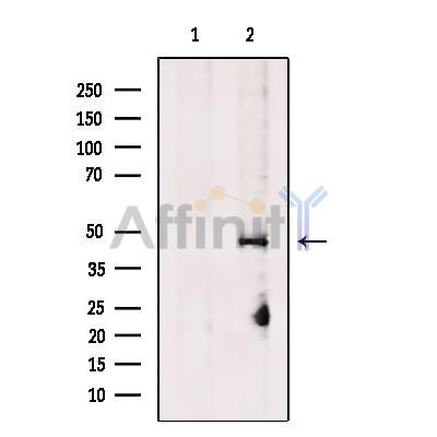 Валидация Affinity DF13497 - 8879
