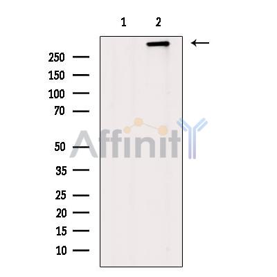 Валидация Affinity DF8748 - 20760