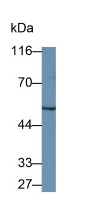 6328