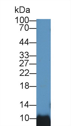 8711