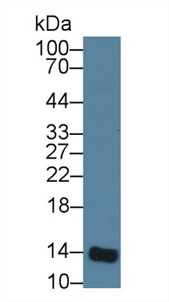 14842