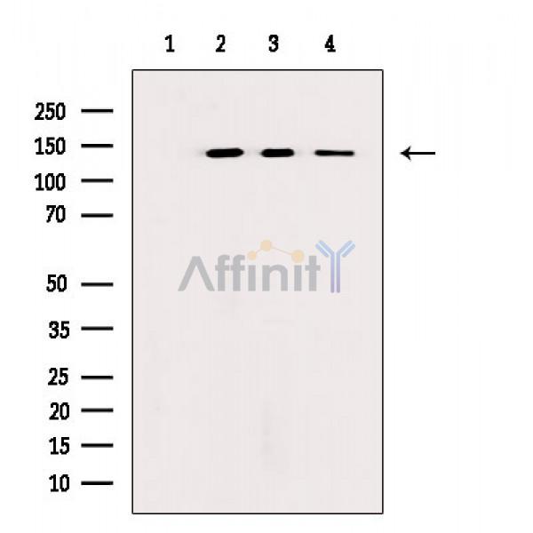 Валидация Affinity AF6710 - 3965