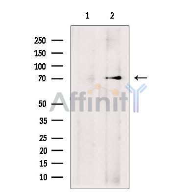 Валидация Affinity DF13266 - 8355
