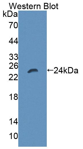 57939