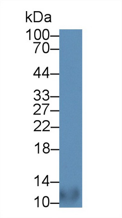 12948