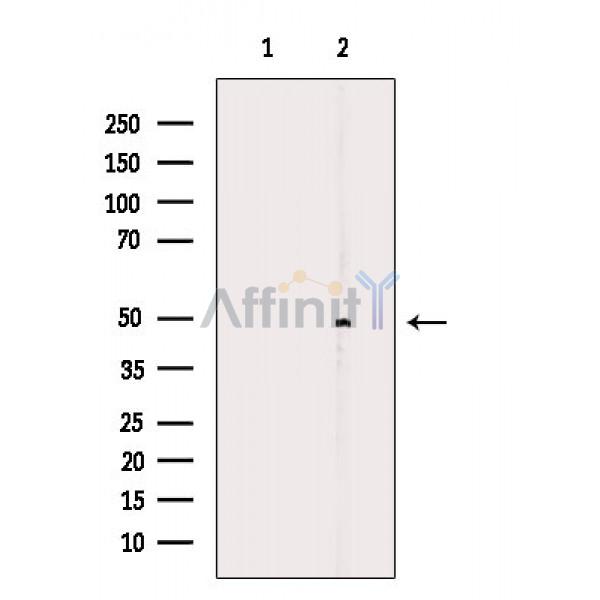 Валидация Affinity DF7626 - 19398