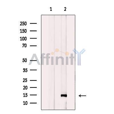 Валидация Affinity DF12299 - 6670