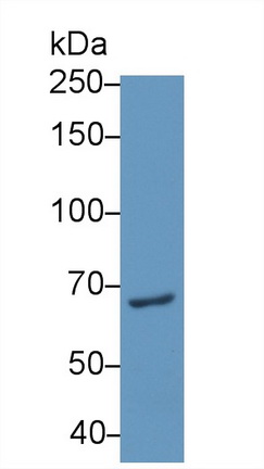 8853