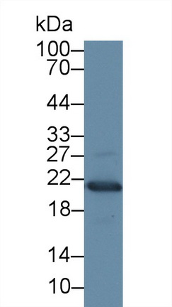14735