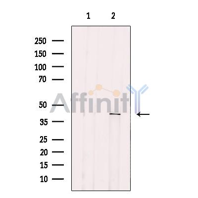 Валидация Affinity DF12389 - 6865
