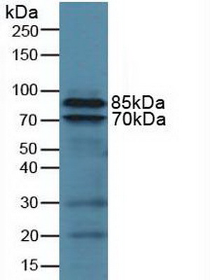4936