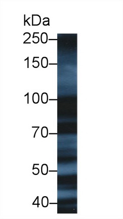 9916