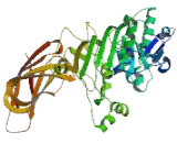 Lipase, Pancreatic (PL)