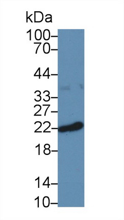 13859