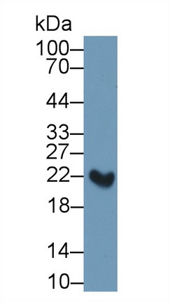 13377