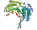 Aldehyde Dehydrogenase, Mitochondrial (ALDM)