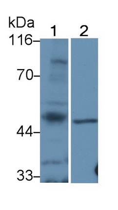22167