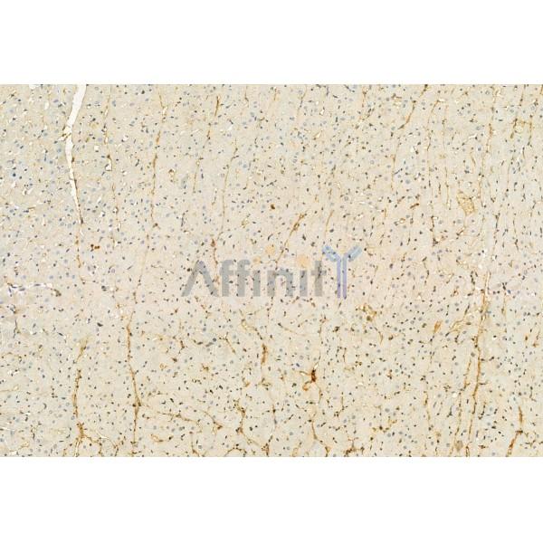 Валидация Affinity DF12105 - 6229