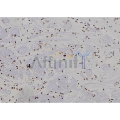 Валидация Affinity DF7186 - 18846
