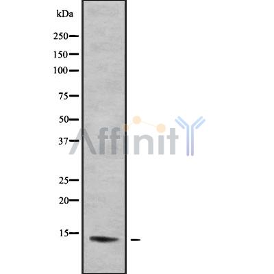 Валидация Affinity DF9068 - 21336