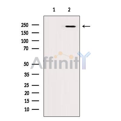 Валидация Affinity DF9178 - 21540