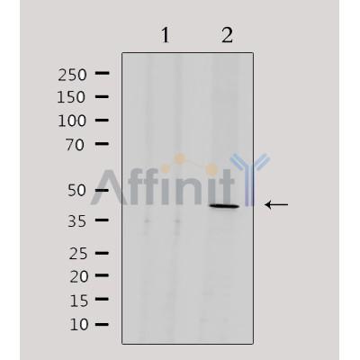 Валидация Affinity DF4040 - 15298