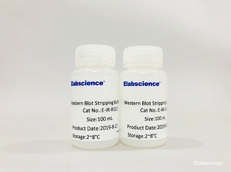 Фото Elabscience E-IR-R102