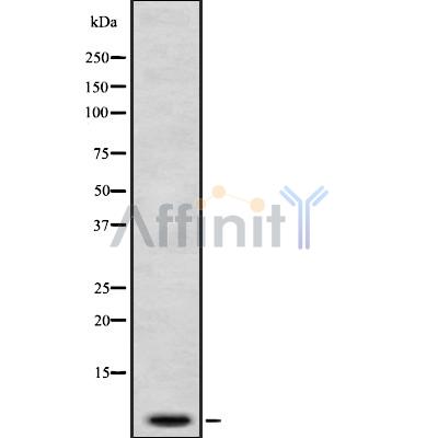 Валидация Affinity DF8891 - 21001