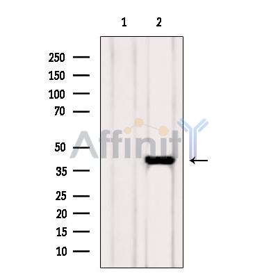 Валидация Affinity DF6775 - 18344