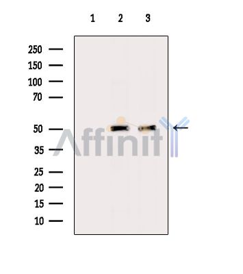 Валидация Affinity DF14428 - 10377