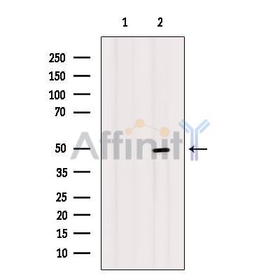 Валидация Affinity DF6182 - 17431
