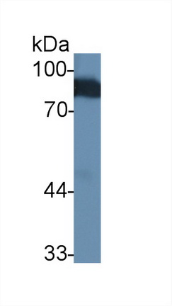 17608