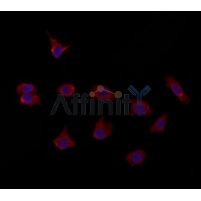 Валидация Affinity DF12133 - 6298