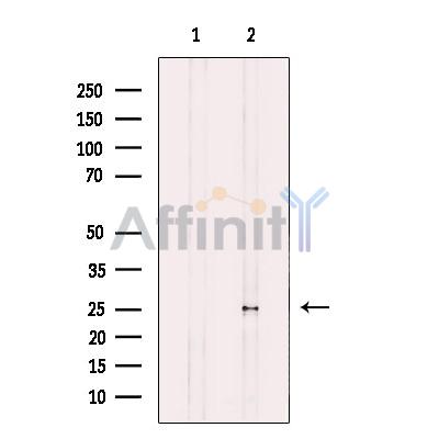Валидация Affinity AF4780 - 2400