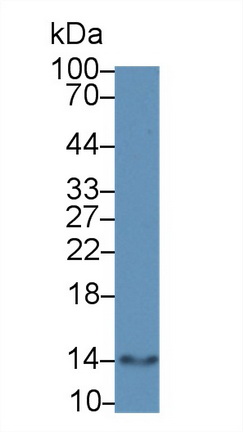 12322