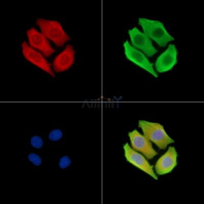 Валидация Affinity DF8714 - 20715