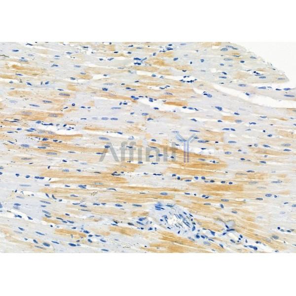 Валидация Affinity DF10268 - 5872