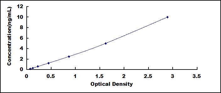 49620