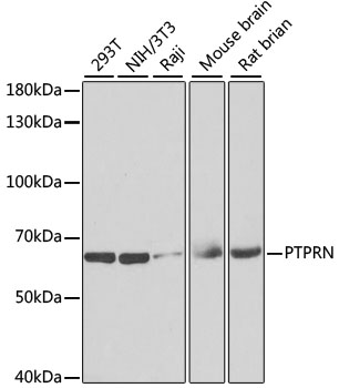 Валидация Elabscience E-AB-62887