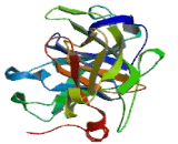 Azurocidin 1 (AZU1)