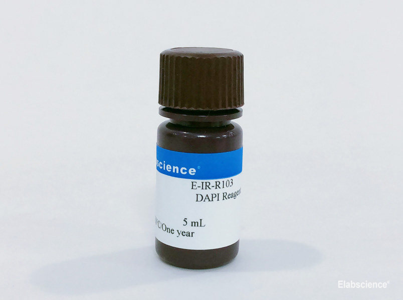 Фото Elabscience E-IR-R103