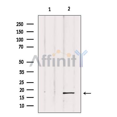 Валидация Affinity DF7373 - 19098