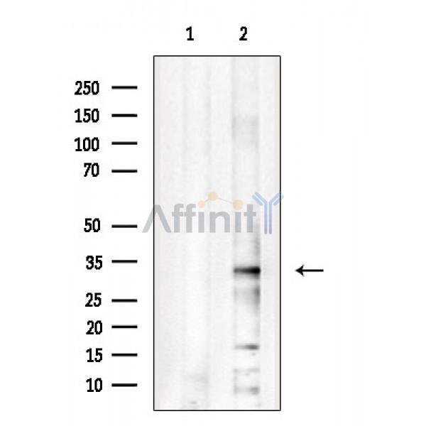 Валидация Affinity DF4291 - 15703