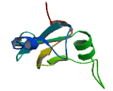 Transmembrane Protein 129 (TMEM129)
