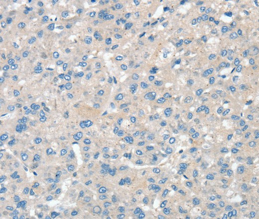 Валидация Elabscience E-AB-16866