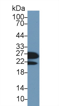 13759