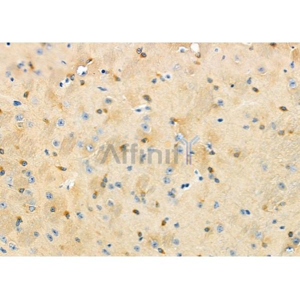 Валидация Affinity DF12385 - 6857