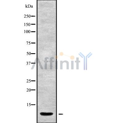 Валидация Affinity DF10130 - 5646