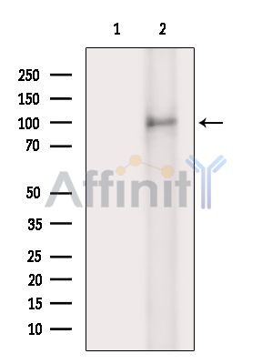 Валидация Affinity DF13803 - 9478
