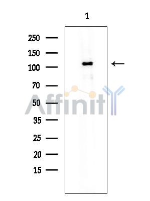 Валидация Affinity DF3377 - 14258